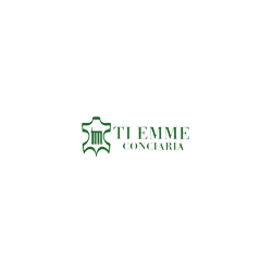 Logo di TI EMME SRL
