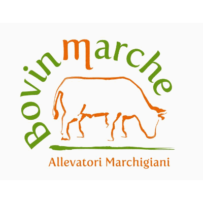 Logo di BONDI ENRICO