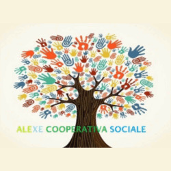 Logo di COOPERATIVA SOCIALE ALEXE