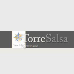 Logo di TORRE SALSA