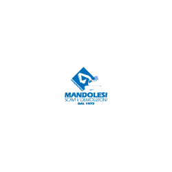 Logo di MANDOLESI