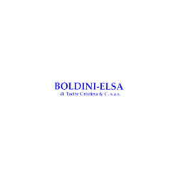 Logo di BOLDINI - ELSA