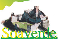 Logo di SOAVERDE