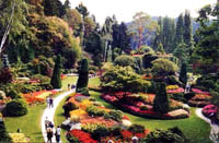 Logo di GARDEN IDEA VERDE