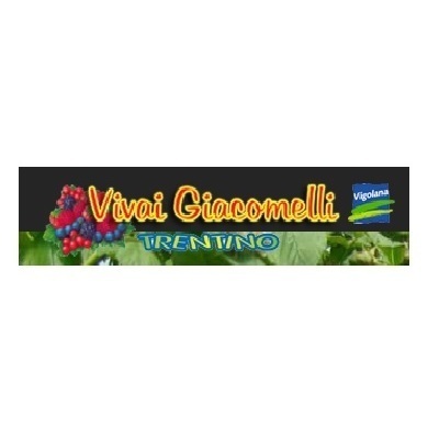 Logo di VIVAI GIACOMELLI