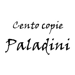 Logo di CENTRO COPIE PALADINI
