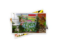 Logo di EVER GREEN