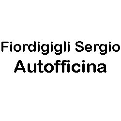 Logo di FIORDIGIGLI SERGIO