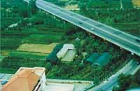 Logo di MARINO PLANTS srl