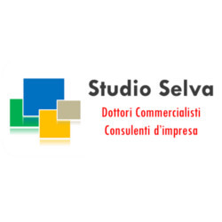Logo di STUDIO SELVA