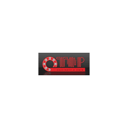 Logo di TOP CUSCINETTI