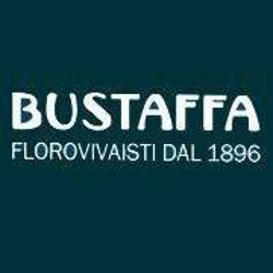 Logo di BUSTAFFA GIOVANNI DI MASSIMILIANO BUSTAFFA