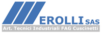 Logo di MEROLLI sas