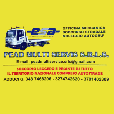 Logo di PEAD MULTI SERVIS SRLS