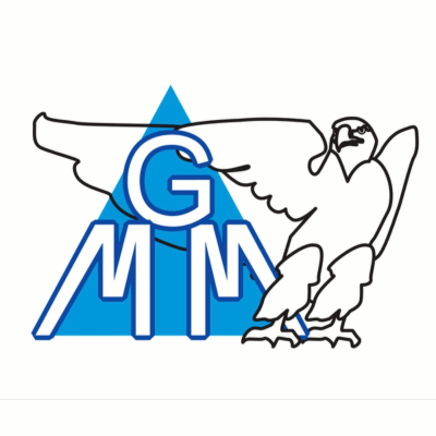Logo di MGM DI MOLARO MICHELE SERVIZI SICUREZZA - FIDUCIARI