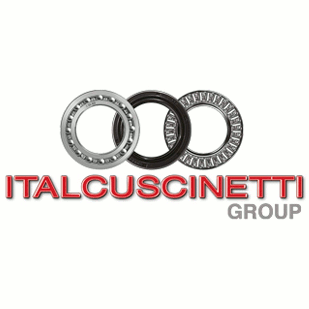 Logo di ITALCUSCINETTI SPA