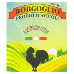 Logo di BORGOGLIO SRL
