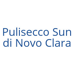 Logo di PULISECCO SUN