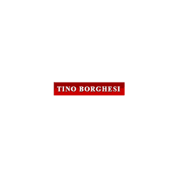 Logo di TINO BORGHESI