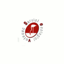 Logo di SERVIZI ECOLOGICI VALSUSA DI VIGHETTI & AMBROSIONI MAURIZIO