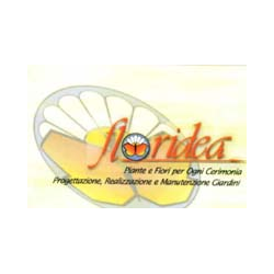 Logo di FIORERIA FLORIDEA