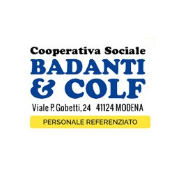 Logo di BADANTI & COLF