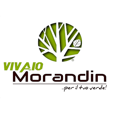 Logo di VIVAIO MORANDIN