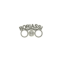 Logo di OTTICA BORIASSI
