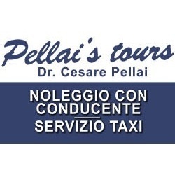 Logo di AUTONOLEGGIO PELLAI DI PELLAI DR. CESARE