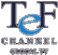 T.E.F. srl