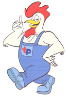 Logo di TERMOIDRAULICA POLLASTRI