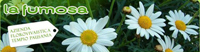 Logo di LA FUMOSA