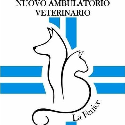 Logo di NUOVO AMBULATORIO LA FENICE DOTTORESSA MIGLIETTA - DOTTORESSA TERENZIANI