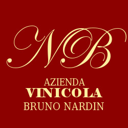 Logo di VINICOLA N B