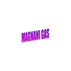 Logo di MAGNANI GAS