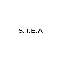 Logo di GARAGE AUSONIA S.T.E.A.