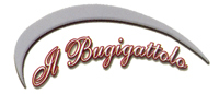 Logo di IL BUGIGATTOLO