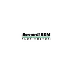 Logo di BERNARDI B. & M. DI VIDOTTO BRUNA & C.