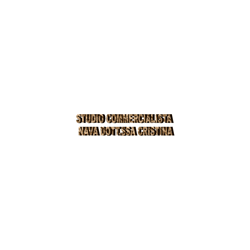 Logo di STUDIO COMMERCIALISTA NAVA