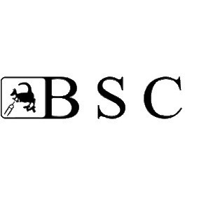 Logo di BIKES SUSPENSION CENTER