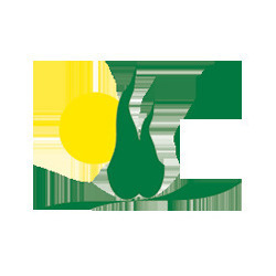 Logo di FRATELLI ANDREINI PIANTE