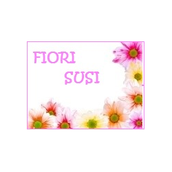 Logo di FIORI SUSI