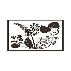 Logo di FARMACIA BRAIDOTTI