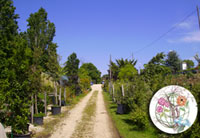 Logo di PIANETA VERDE