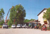 Logo di PIGHINI SAMUELE