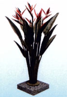 Logo di CARLO AGOSTA