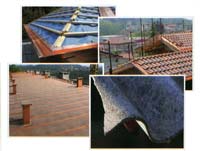 Logo di BICS srl LATTONERIA EDILE