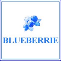 Logo di BLUEBERRIE
