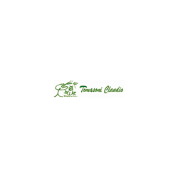 Logo di TOMASONI CLAUDIO