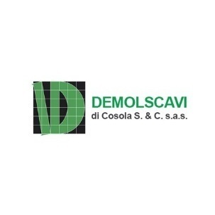 Logo di DEMOLSCAVI SAS